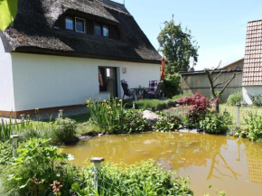 Lovely Holiday Home in Pepelow near Baltic Sea in Am Salzhaff